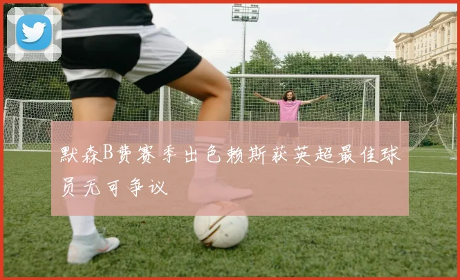 默森B费赛季出色赖斯获英超最佳球员无可争议