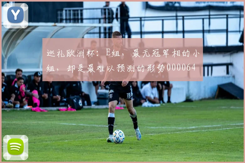 巡礼欧洲杯：E组，最无冠军相的小组，却是最难以预测的形势0000644