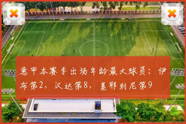 意甲本赛季出场年龄最大球员：伊布第2，汉达第8，基耶利尼第9