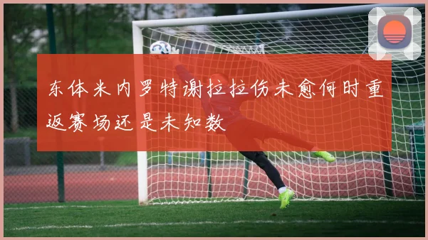 东体米内罗特谢拉拉伤未愈何时重返赛场还是未知数